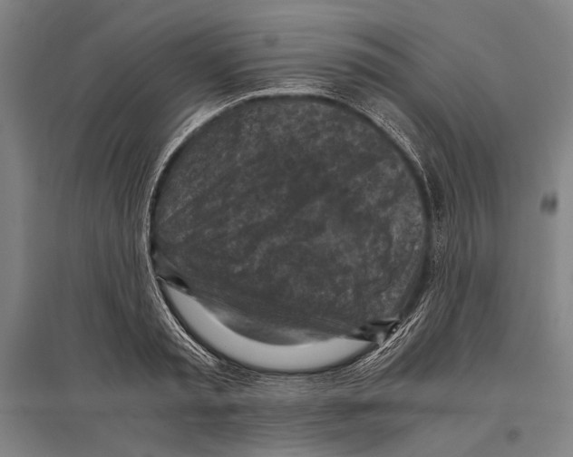 X0000096640797200803041125