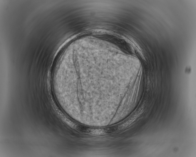 X0000096640798200803041125