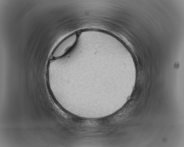 X0000096640799200803041125