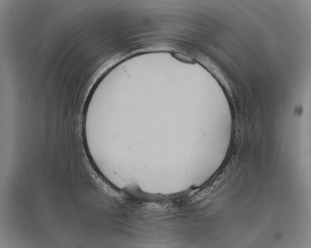 X0000096640805200803041125