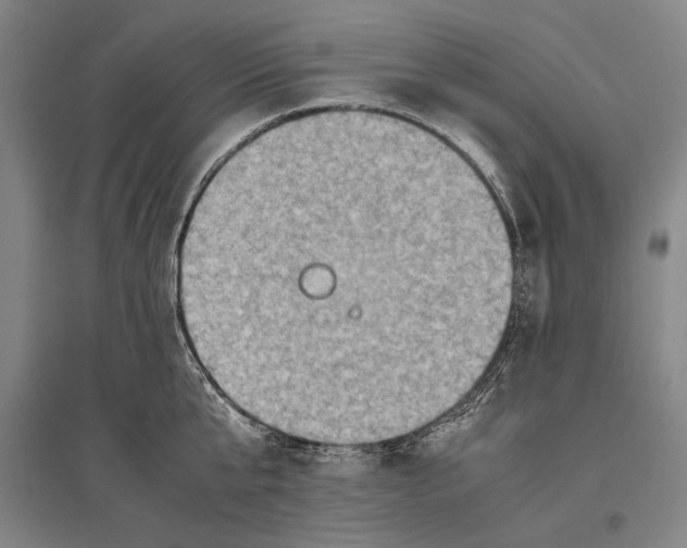 X0000096640807200803041125