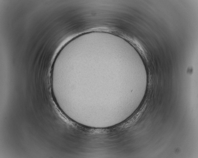 X0000096640808200803041125