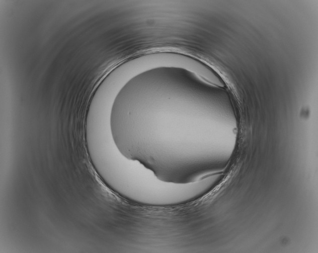 X0000096640809200803041125