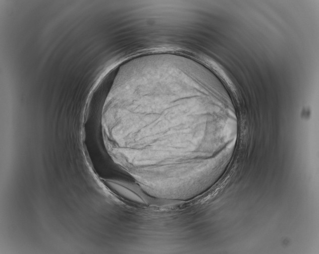 X0000096640810200803041125