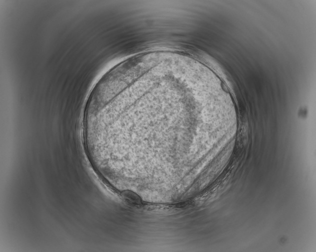 X0000096640811200803041125