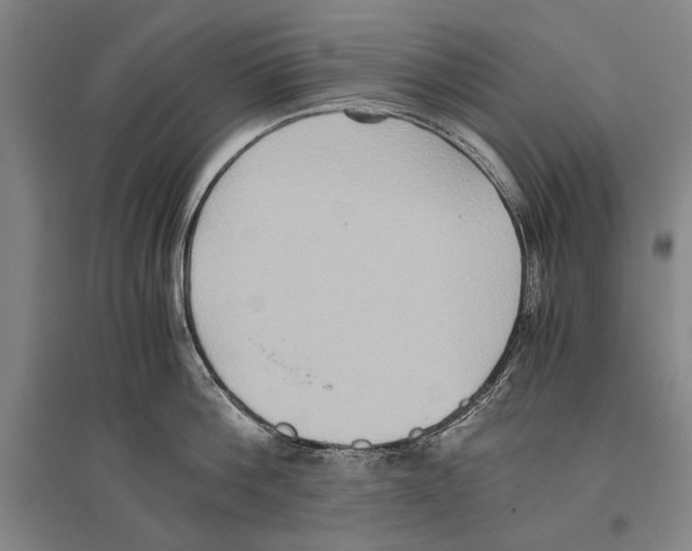 X0000096640812200803041125