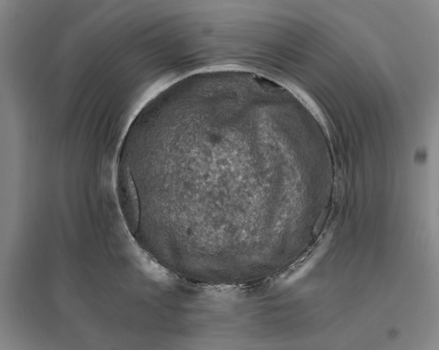 X0000096640813200803041125