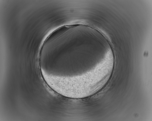 X0000096640816200803041125