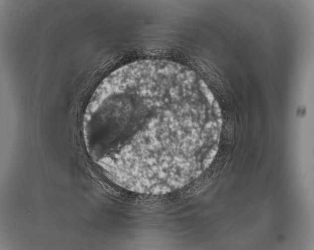 X0000096640817200803041124