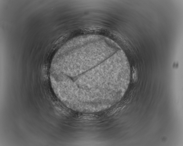 X0000096640819200803041124