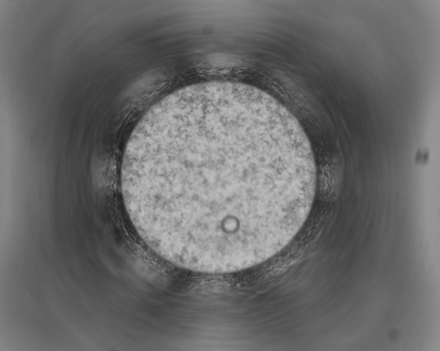 X0000096640820200803041124