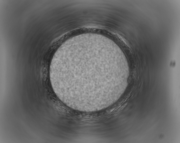 X0000096640821200803041124