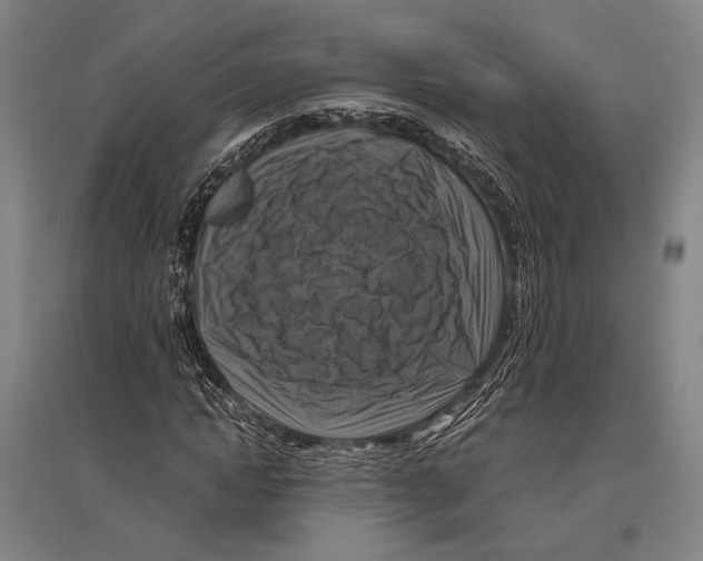 X0000096640822200803041124