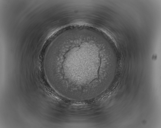 X0000096640823200803041124