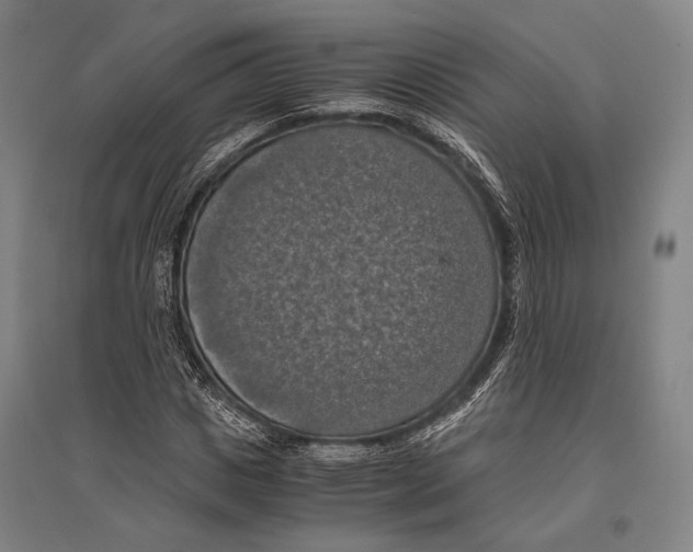 X0000096640825200803041124