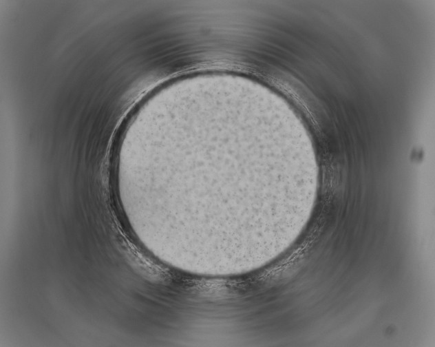 X0000096640828200803041124