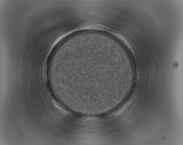 X0000096640830200803041124