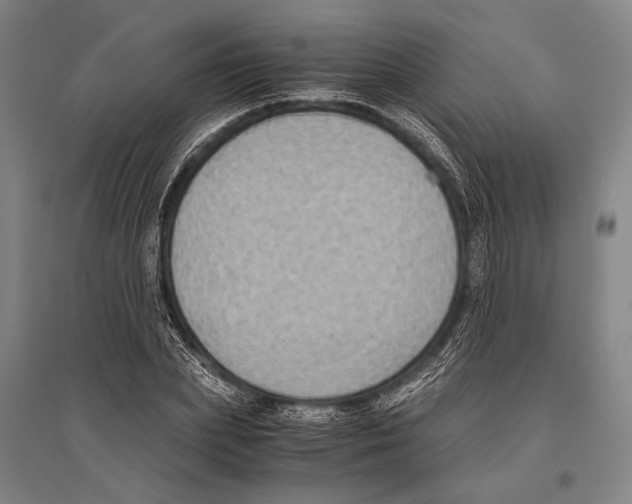 X0000096640831200803041124