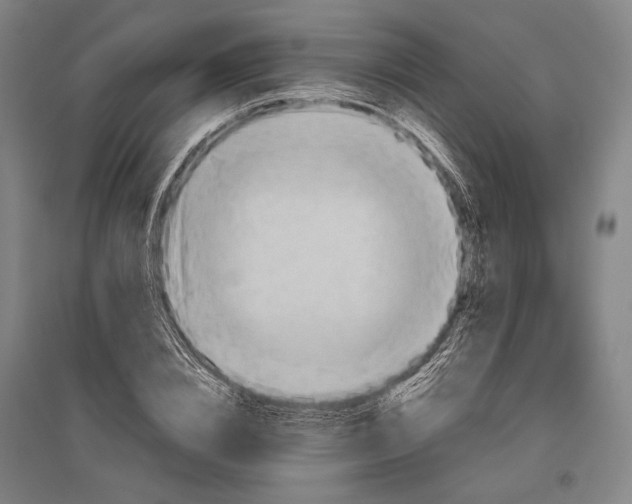 X0000096640832200803041124