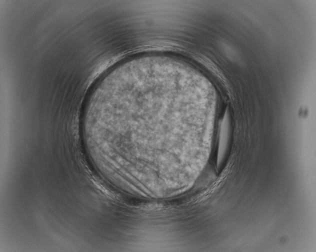 X0000096640834200803041124