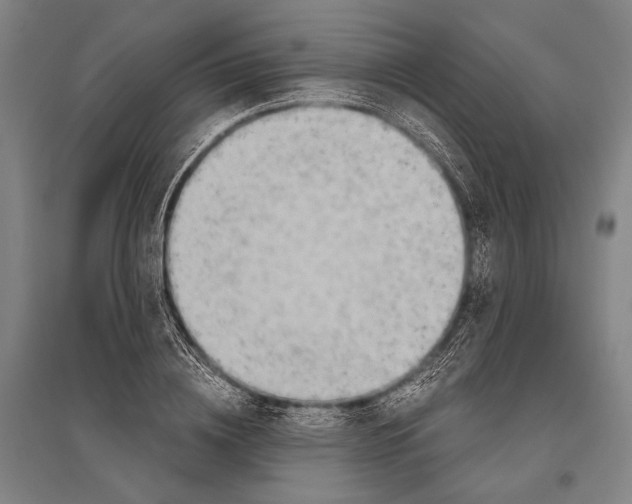 X0000096640836200803041124