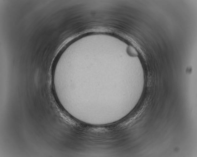 X0000096640837200803041124