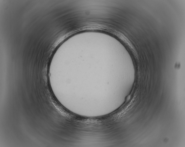 X0000096640842200803041124