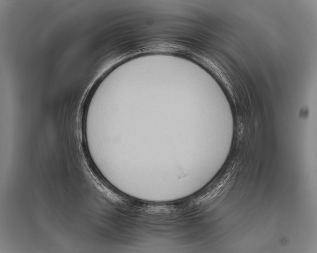 X0000096640843200803041124