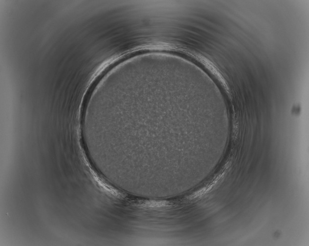 X0000096640845200803041124