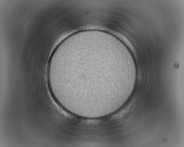 X0000096640847200803041124