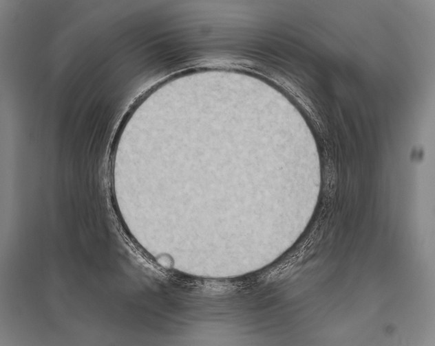 X0000096640848200803041125