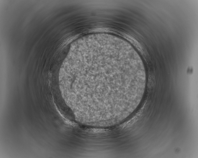 X0000096640849200803041125