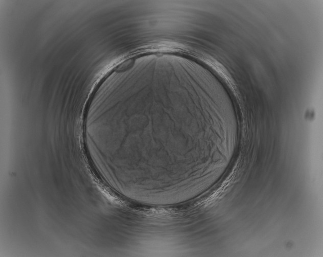 X0000096640850200803041125