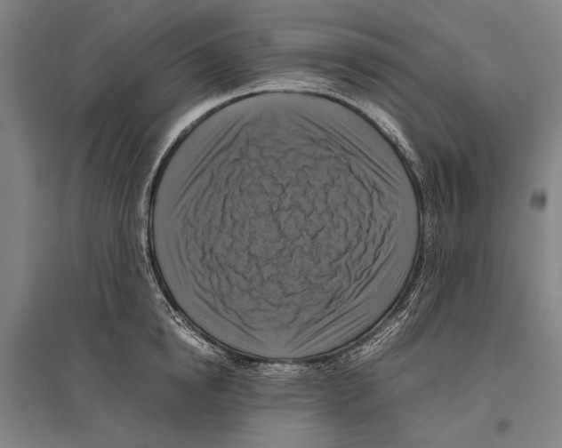 X0000096640854200803041125