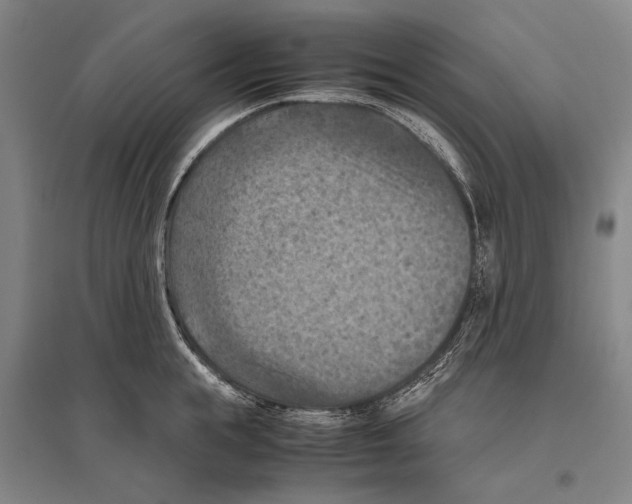 X0000096640855200803041125