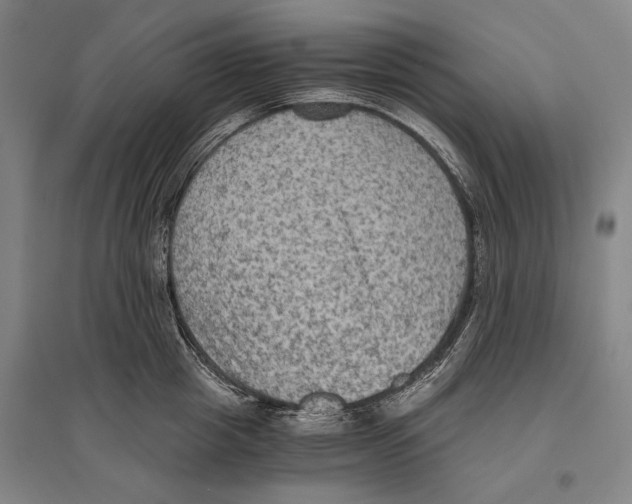 X0000096640857200803041125