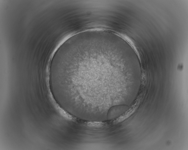 X0000096640859200803041125