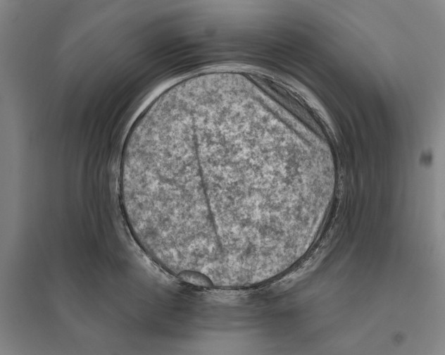 X0000096640860200803041125