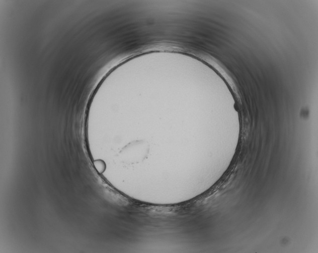 X0000096640861200803041125