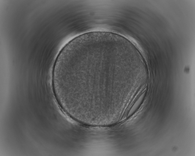 X0000096640862200803041125