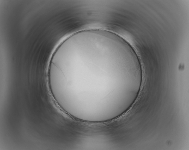 X0000096640864200803041125