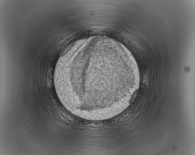 X0000096640868200803041124