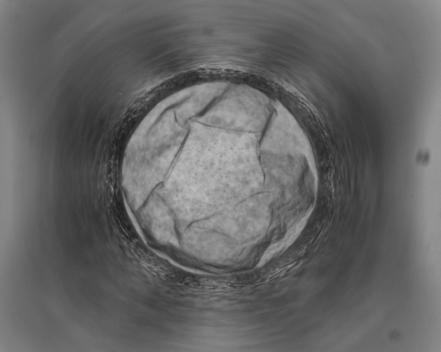 X0000096640870200803041124