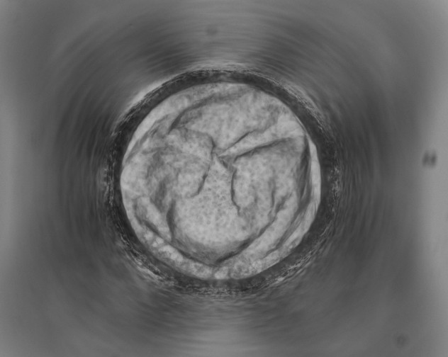 X0000096640872200803041124