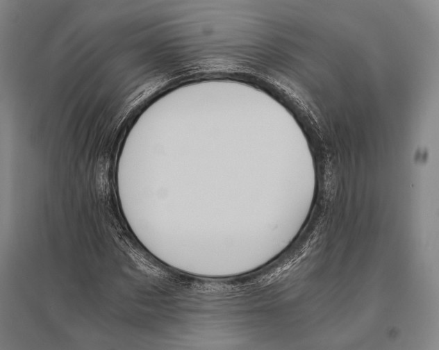 X0000096640873200803041124