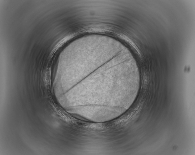 X0000096640874200803041124