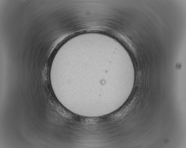 X0000096640875200803041124