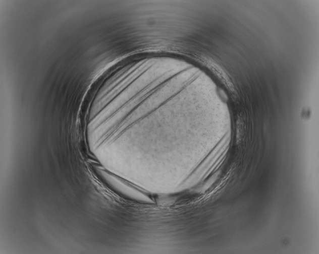 X0000096640876200803041124