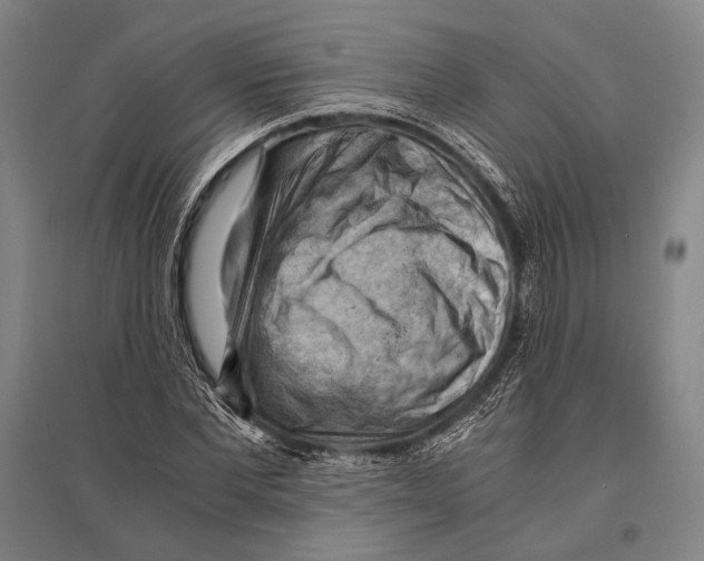 X0000096640877200803041124