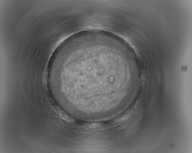 X0000096640879200803041124